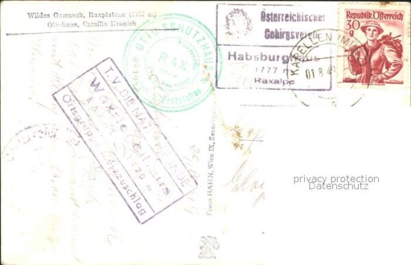 Bergsteigen Klettern Wildes Gamseck Raxplateau – Bild 2