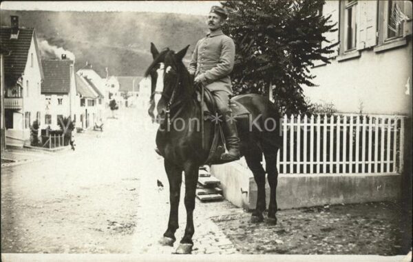 Pferde Militaria