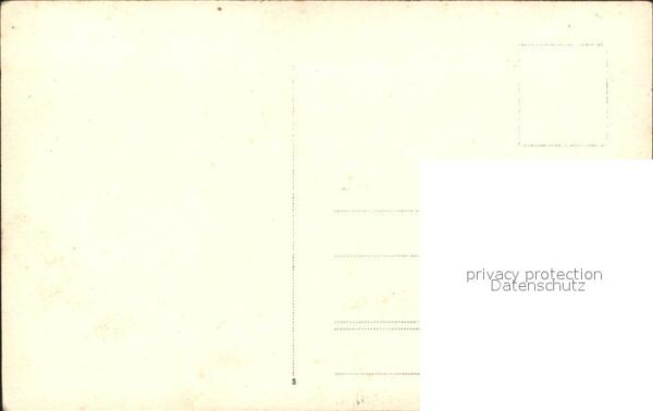 Pferde Militaria – Bild 2
