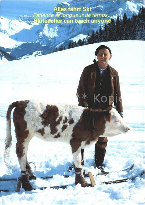 Skifahren Skilehrer Peter von der Aebi Kalb Rind