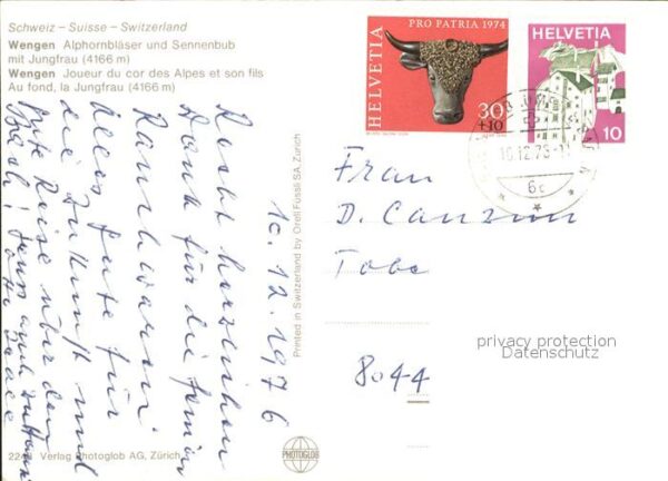 Alphorn Alphornbläser Sennenbub Wengen Jungfrau – Bild 2