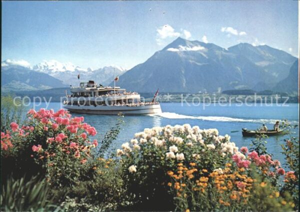 Motorschiffe Thunersee Blümlisalp Niesen