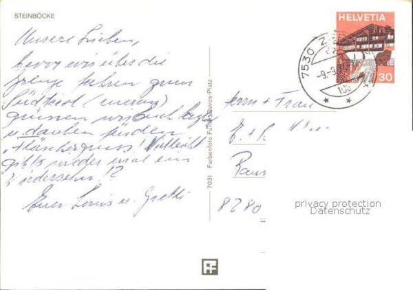 Steinbock Steinböcke – Bild 2