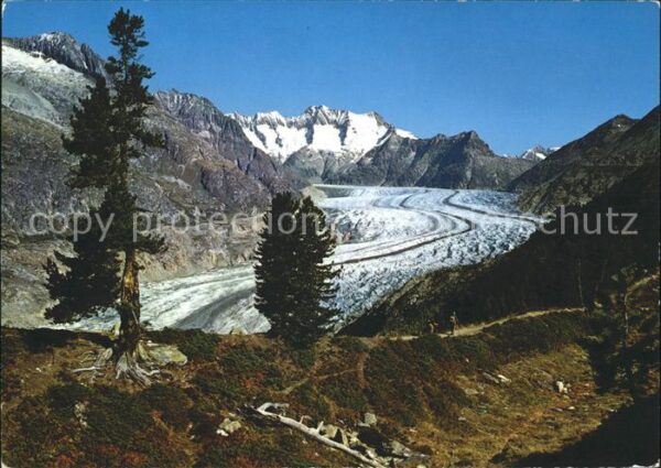 Gletscher Grosse Aletschgletscher Schönbühlhorn W