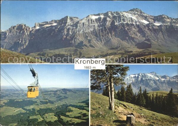 Seilbahn Kronberg