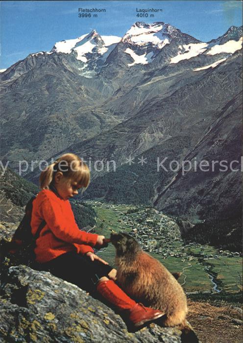 Murmeltier Marmotte Saas-Fee