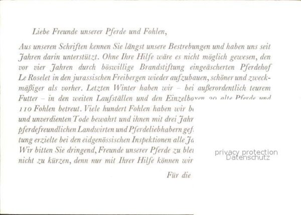 Pferde Fohlen Spendenkarte Stiftung – Bild 2