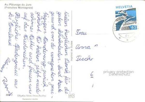 Pferde Paturage du Jura Franches Montagnes – Bild 2