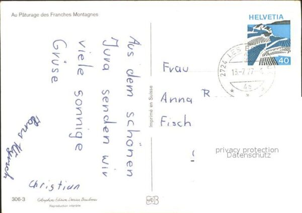 Pferde Paturage des Franches Montagnes – Bild 2