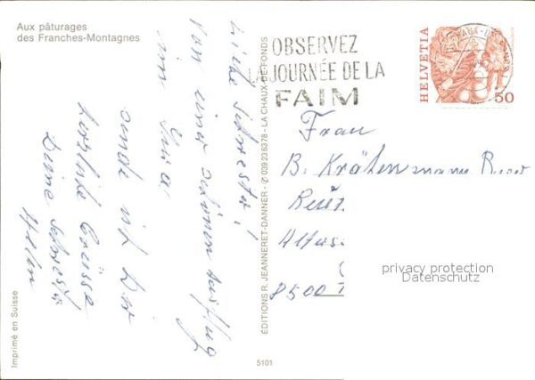 Pferde Paturage Franches-Montagnes – Bild 2