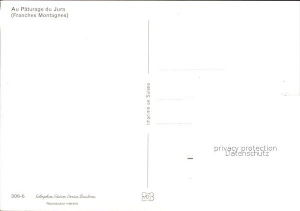 Pferde Paturage du Jura Franches Montagnes – Bild 2