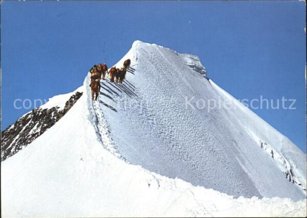 Bergsteigen Klettern Hauptgipfel Piz Palü