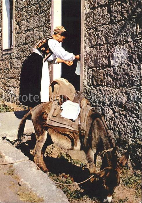 Esel Tiere Tracht Tessin Tessiner Gasse Vicolo car