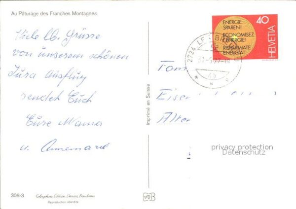 Pferde Paturage Franches Montagnes – Bild 2