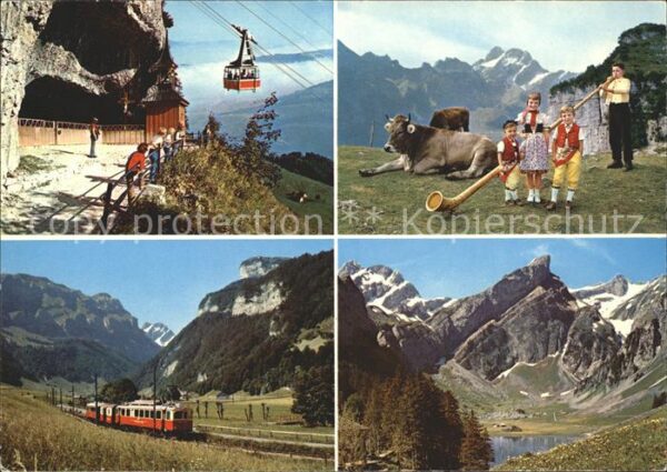 Alphorn Alphornbläser Alpstein Wildkirchli Eben