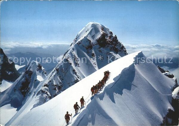 Bergsteigen Klettern Schneekuppe Hauptgipfel Piz Roseg