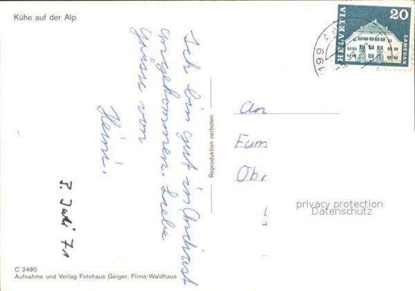 Kuehe Alp – Bild 2