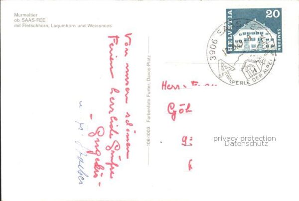 Murmeltier Saas-Fee Fletschhorn Laquinhorn Weissmi – Bild 2
