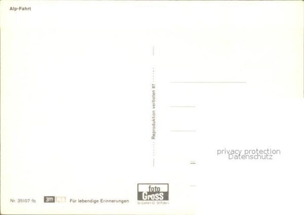 Kuehe Alp-Fahrt Tracht – Bild 2