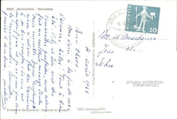 Murmeltier Marmottes – Bild 2