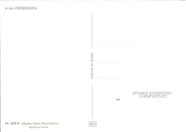 Pferde Freibergen – Bild 2