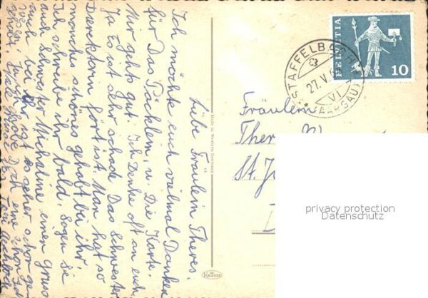 Pferde – Bild 2