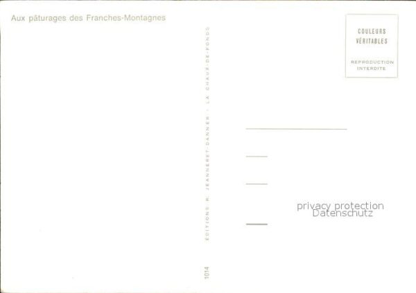 Pferde Paturages Franches-Montagnes – Bild 2