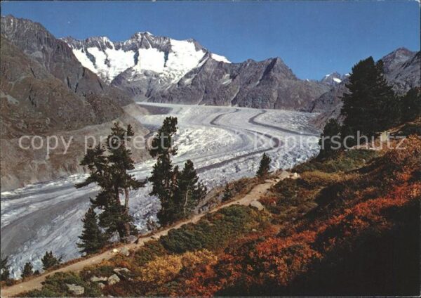 Gletscher Grosser Aletschgletscher Bettmeralp Wan