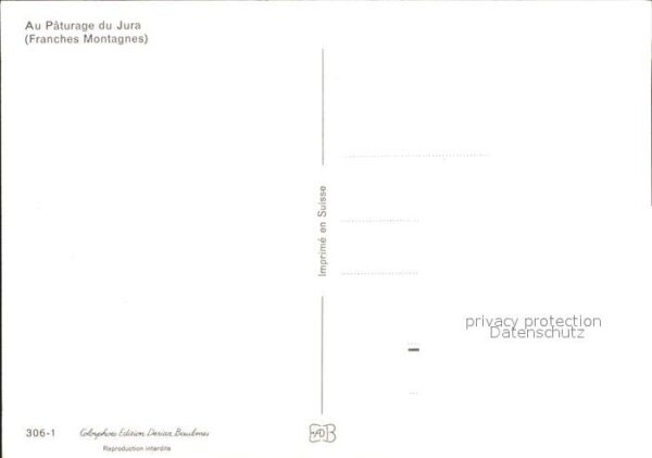 Pferde Paturage du Jura – Bild 2