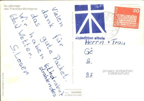Pferde Paturage Franches-Montagnes – Bild 2