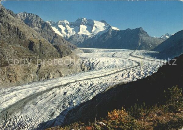 Gletscher Grosser Aletschgletscher Schönbühlhorn