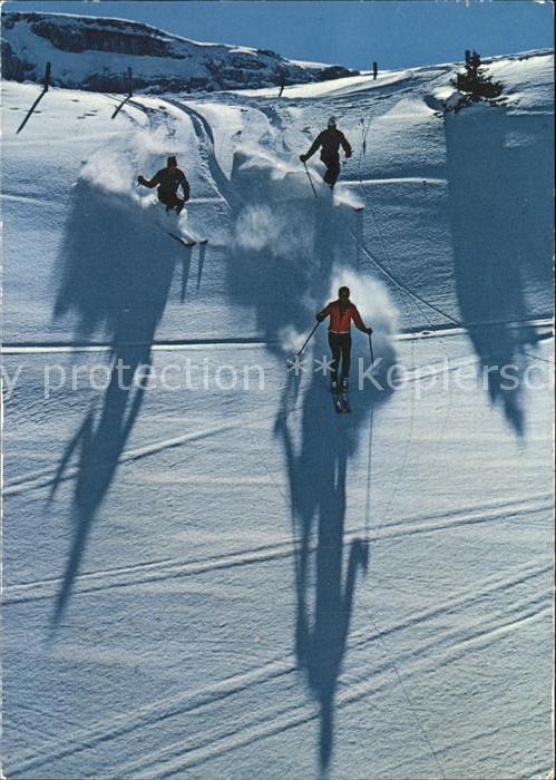 Skifahren Neuschnee