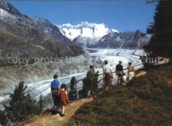 Gletscher Grosser Aletschgletscher Riederalp Bett