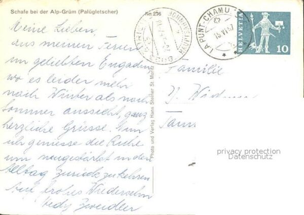 Hirte Schafe Alp-Grüm Palügletscher – Bild 2