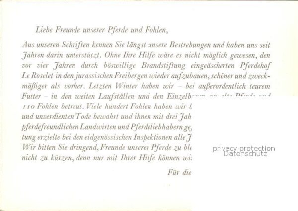 Pferde Fohlen Pferdehof Le Roselet Freibergen – Bild 2