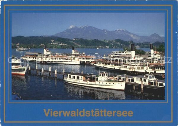 Dampfer Seitenrad Vierwaldstättersee Flotte Dampfschiffge