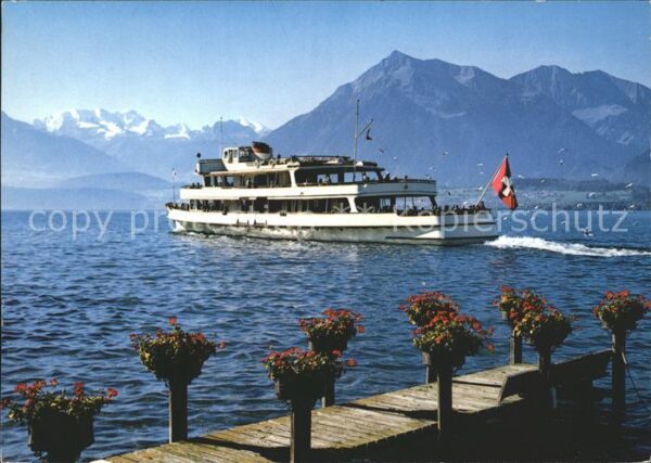 Motorschiffe Thunersee Blümlisalp Niesen