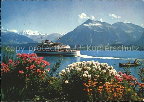 Motorschiffe Thunersee Blümlisalp Niesen