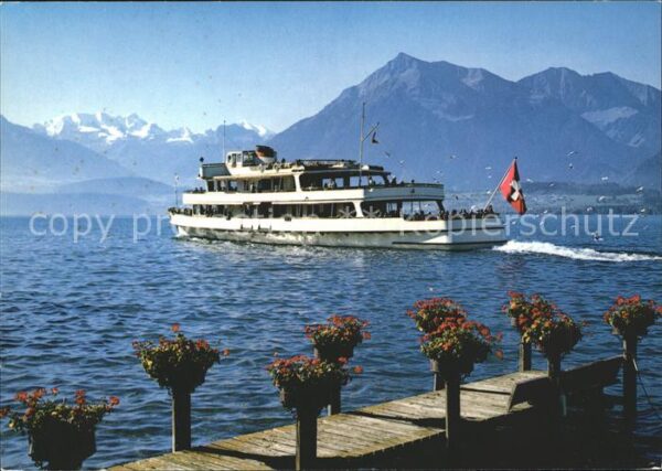 Motorschiffe Thunersee Blümlisalp Niesen