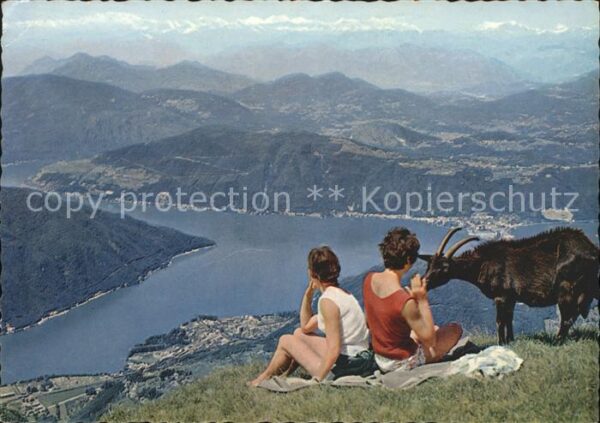 Ziege Monte Rosa Lago di Lugano Berner Alpen
