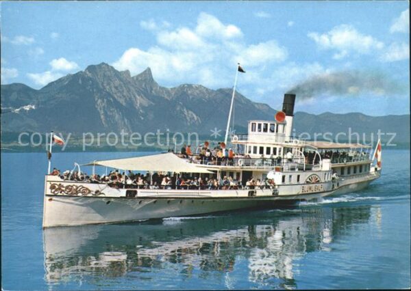 Dampfer Seitenrad Blümlisalp Thunersee