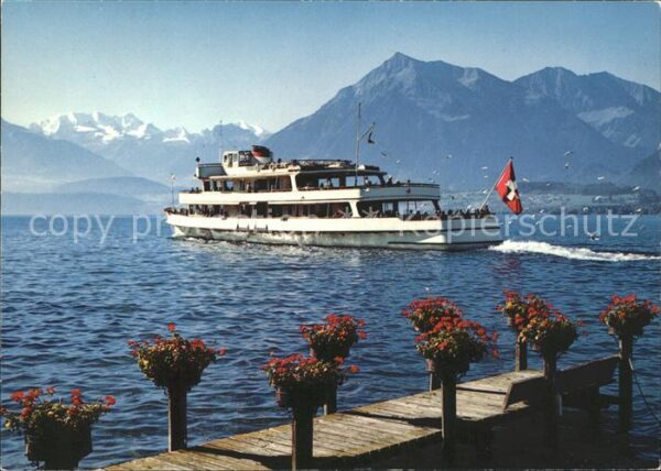 Motorschiffe Thunersee Blümlisalp Niesen