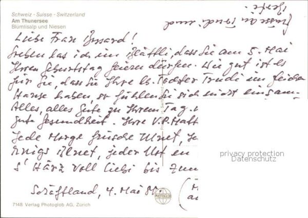 Motorschiffe Thunersee Blümlisalp Niesen – Bild 2