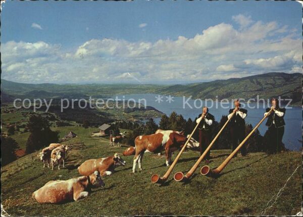 Alphorn Alphorntrio Morgebärg Aeschiried Aeschi