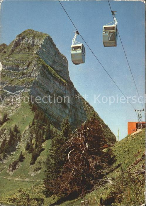 Seilbahn Telecabine au Moleson Gruyere