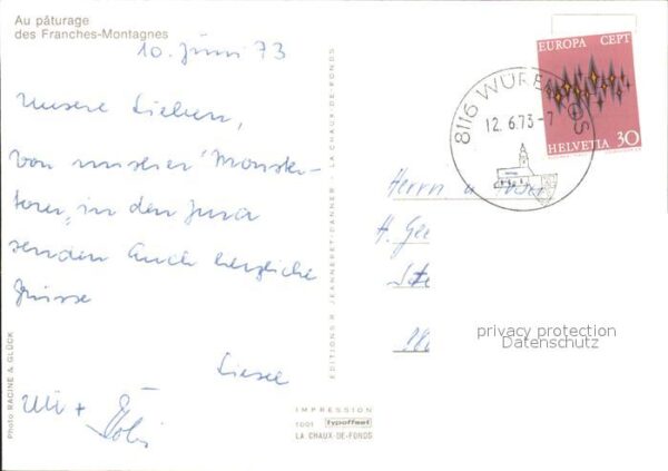Pferde Paturage Franches-Montagnes – Bild 2