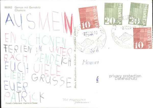 Gemse Gemskitz Chamois – Bild 2