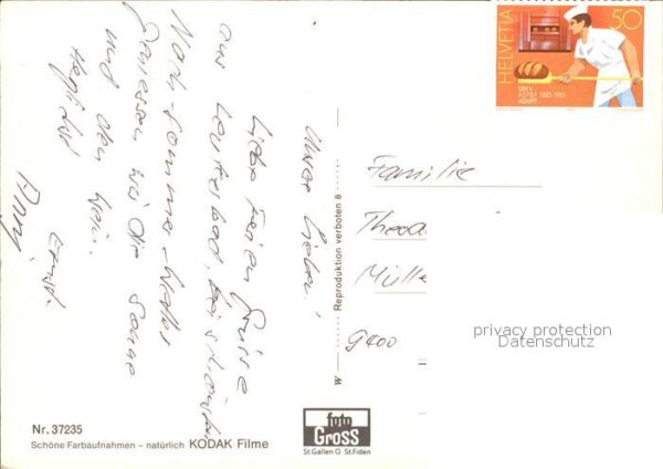 Schweine – Bild 2