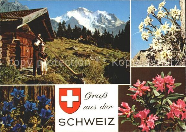 Alphorn Alphornbläser Edelweiss Enzian Alpenros