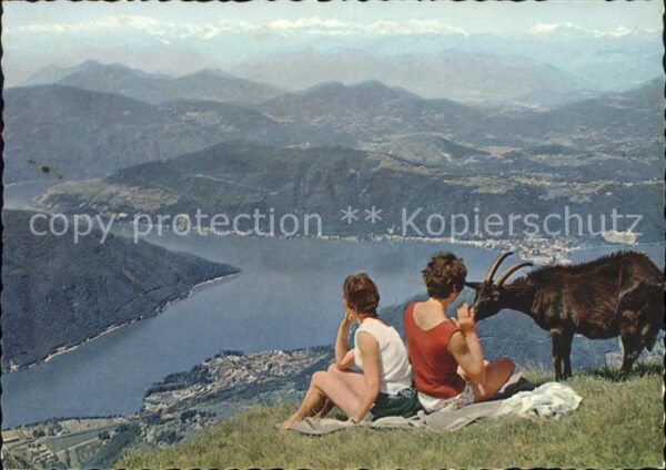 Ziege Monte Rosa Walliser- und Berner Alpen L